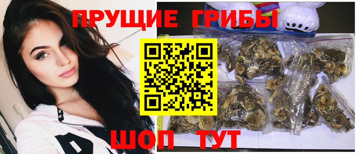 Галлюциногенные грибы MAGIC MUSHROOMS Мыски